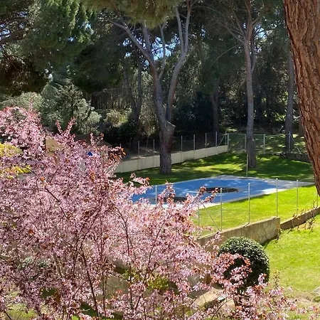 Apt Romantico Con Chimenea Con Fibra Optica Y Terraza San Martín de Valdeiglesias Extérieur photo