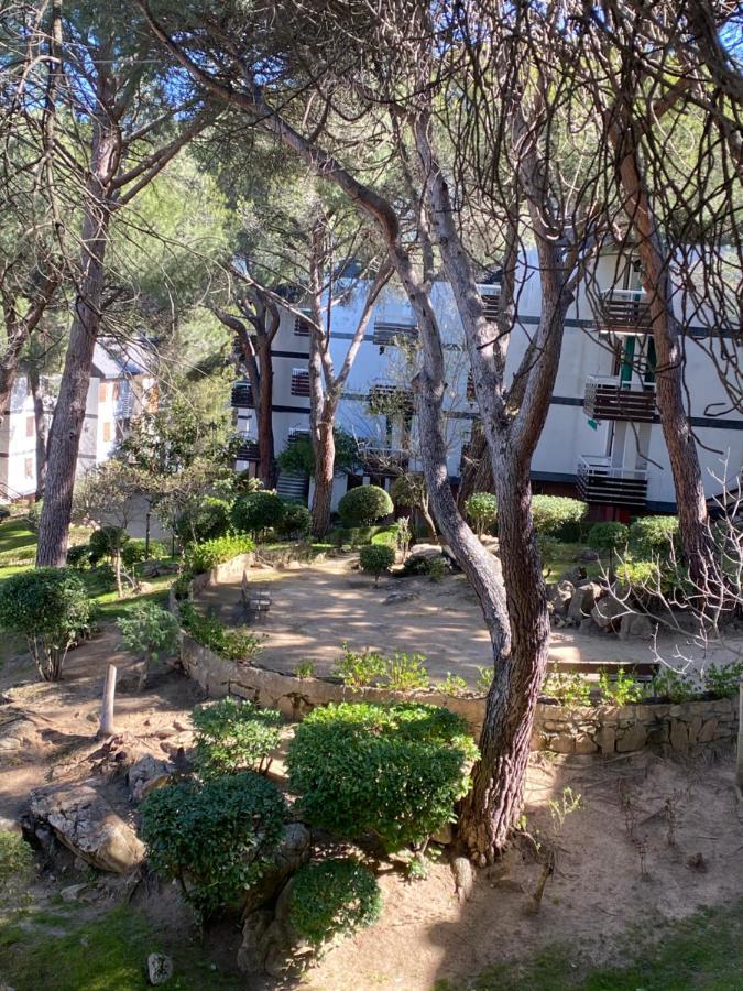 Romantico Con Chimenea Con Fibra Optica Y Terraza Appartement San Martín de Valdeiglesias